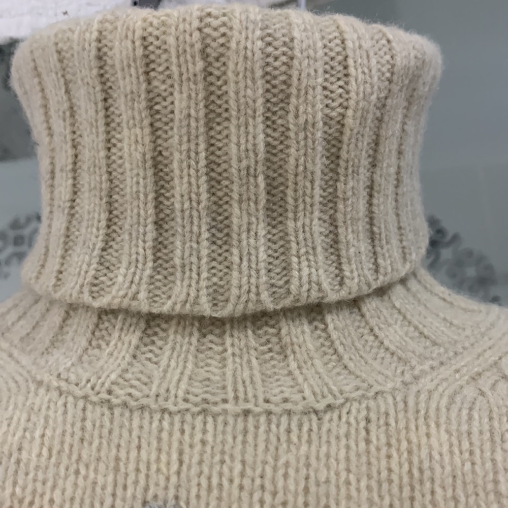 Like NEW VTG 90’ Eddie Bauer Lambswool Knit Embroidered Turtleneck